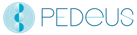 konplan Logo PEDeus